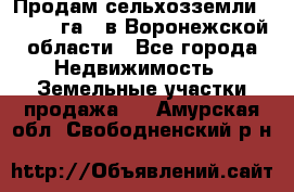 Продам сельхозземли ( 6 000 га ) в Воронежской области - Все города Недвижимость » Земельные участки продажа   . Амурская обл.,Свободненский р-н